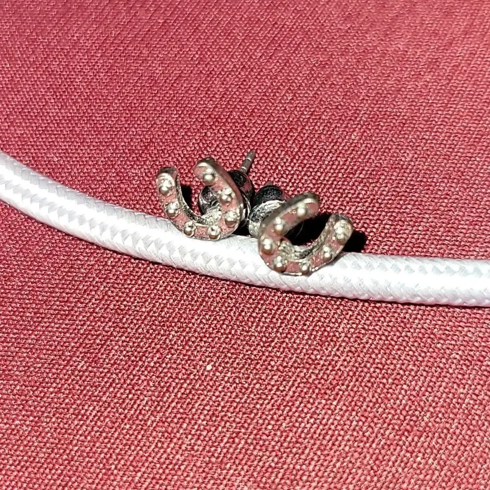 Unisex Luck Of The Horse Shoe Shaped 1pair earrings